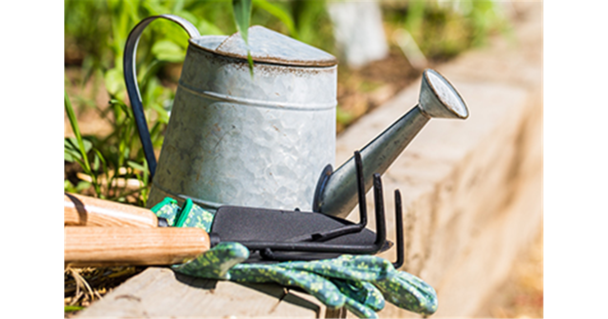 Allgemeine Gartenarbeit im August - Bellandris Rosenheim